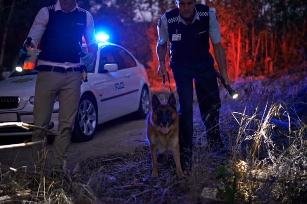Media-id 31161099